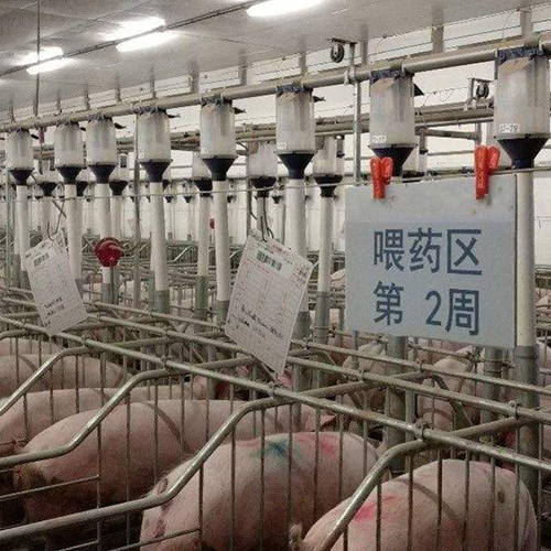 河南省正陽種豬場鑫佰加畜牧設備合作項目
